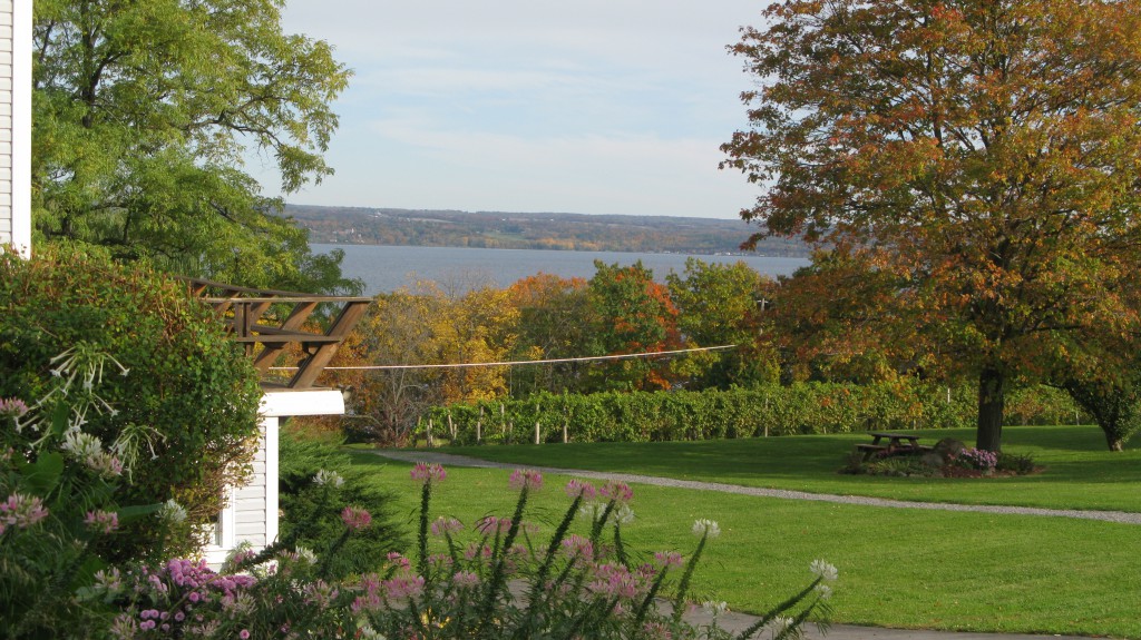 Cayuga Lake from Goose Watch Winery