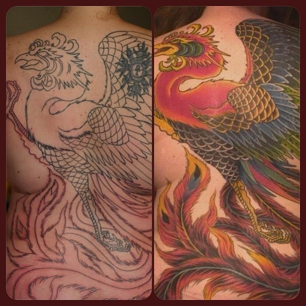 From outline to color-six months